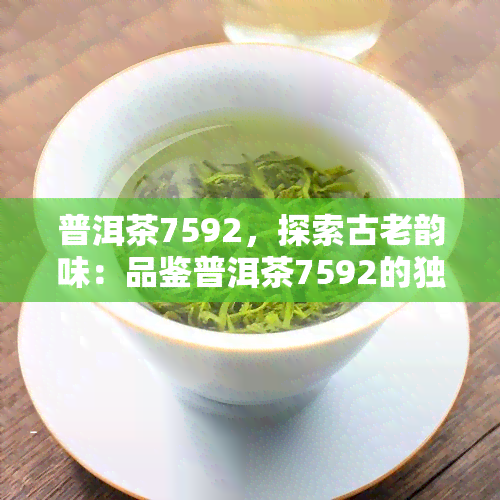 普洱茶7592，探索古老韵味：品鉴普洱茶7592的独特魅力