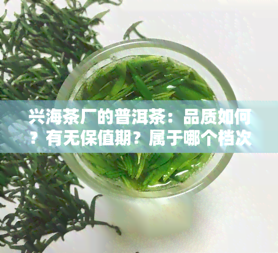 兴海茶厂的普洱茶：品质如何？有无保值期？属于哪个档次？