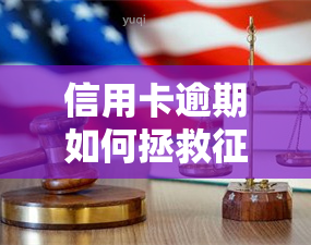 信用卡逾期如何拯救记录？全面解析及解决方法