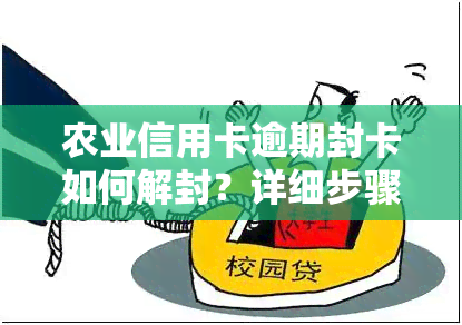 农业信用卡逾期封卡如何解封？详细步骤大揭秘！