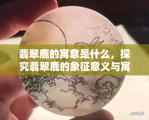 翡翠鹿的寓意是什么，探究翡翠鹿的象征意义与寓意