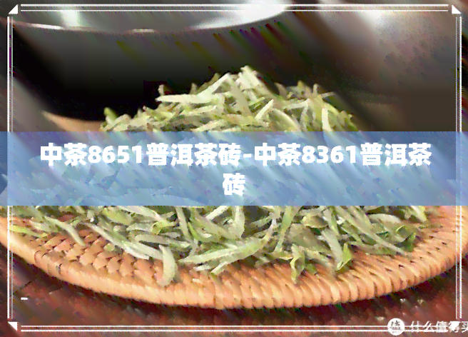 中茶8651普洱茶砖-中茶8361普洱茶砖