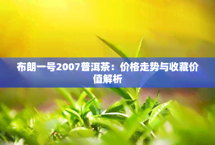 布朗一号2007普洱茶：价格走势与收藏价值解析