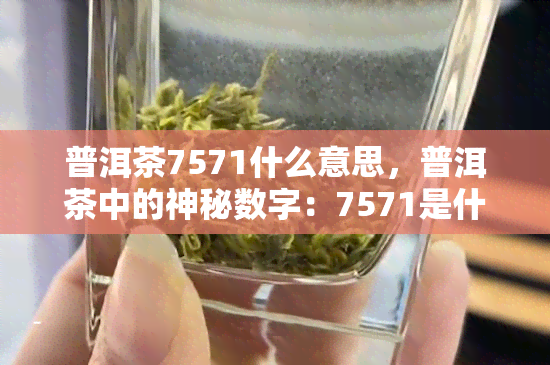 普洱茶7571什么意思，普洱茶中的神秘数字：7571是什么意思？