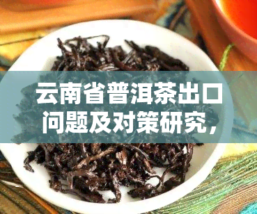 云南省普洱茶出口问题及对策研究，探究云南省普洱茶出口的挑战与应对策略