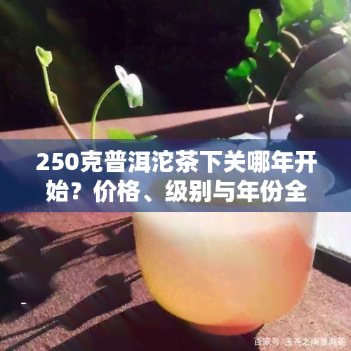 250克普洱沱茶下关哪年开始？价格、级别与年份全解析