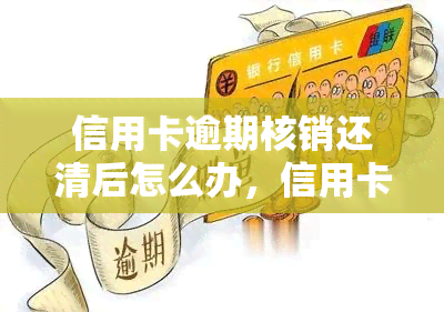 信用卡逾期核销还清后怎么办，信用卡逾期核销后如何恢复正常还款？