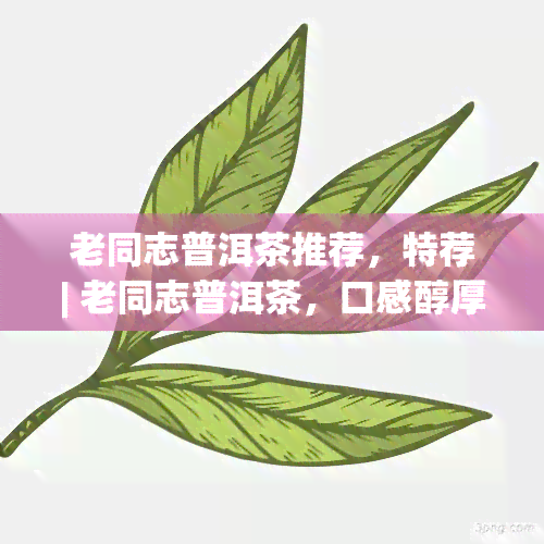 老同志普洱茶推荐，特荐| 老同志普洱茶，口感醇厚，回味悠长！