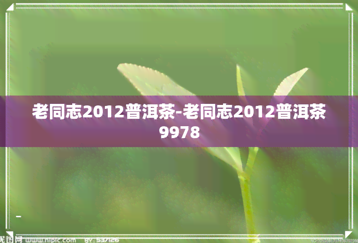 老同志2012普洱茶-老同志2012普洱茶9978