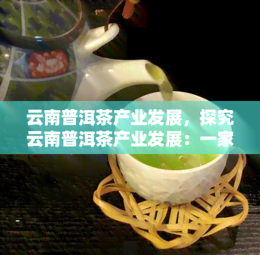 云南普洱茶产业发展，探究云南普洱茶产业发展：一家公司的成功之路