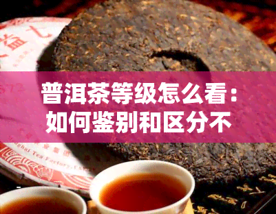 普洱茶等级怎么看：如何鉴别和区分不同级别普洱茶的质量与特点？