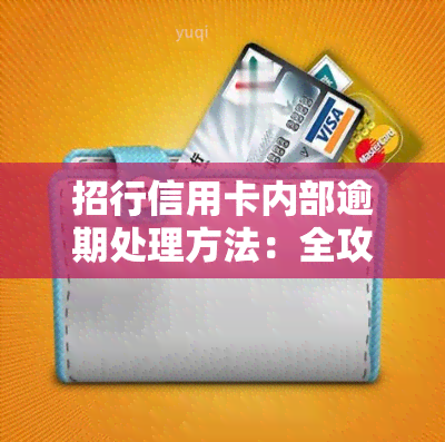 招行信用卡内部逾期处理方法：全攻略2021