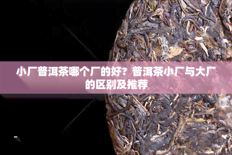 小厂普洱茶哪个厂的好？普洱茶小厂与大厂的区别及推荐