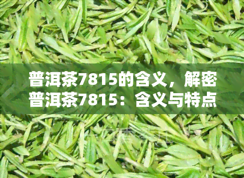 普洱茶7815的含义，解密普洱茶7815：含义与特点