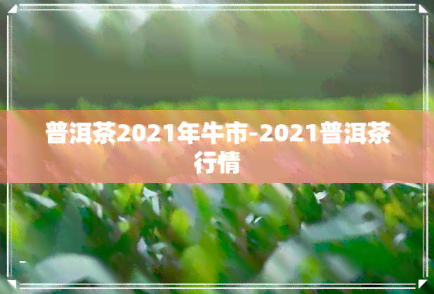 普洱茶2021年牛市-2021普洱茶行情