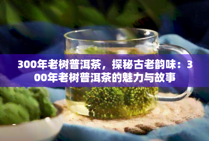 300年老树普洱茶，探秘古老韵味：300年老树普洱茶的魅力与故事