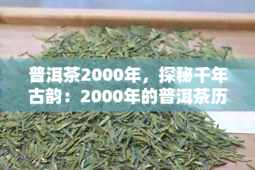 普洱茶2000年，探秘千年古韵：2000年的普洱茶历与文化