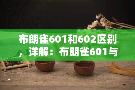 布朗雀601和602区别，详解：布朗雀601与602的区别