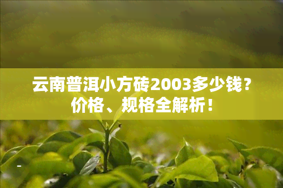 云南普洱小方砖2003多少钱？价格、规格全解析！