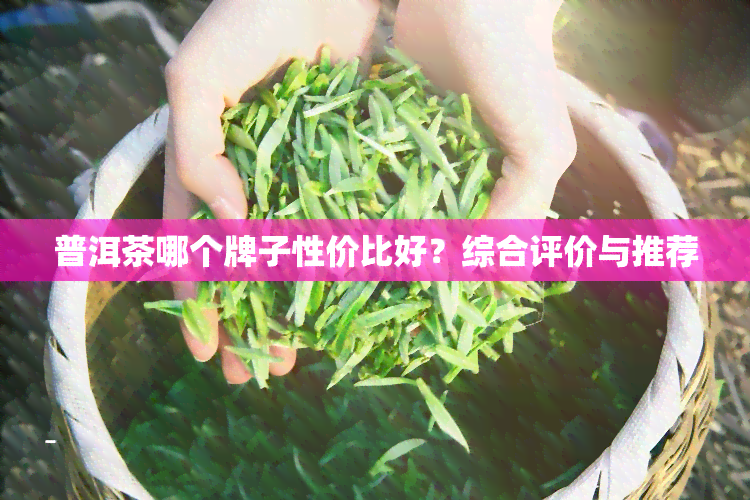 普洱茶哪个牌子性价比好？综合评价与推荐