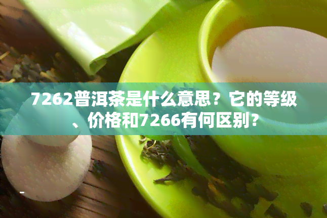 7262普洱茶是什么意思？它的等级、价格和7266有何区别？