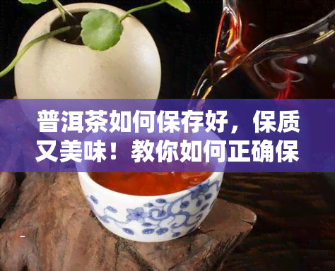 普洱茶如何保存好，保质又美味！教你如何正确保存普洱茶