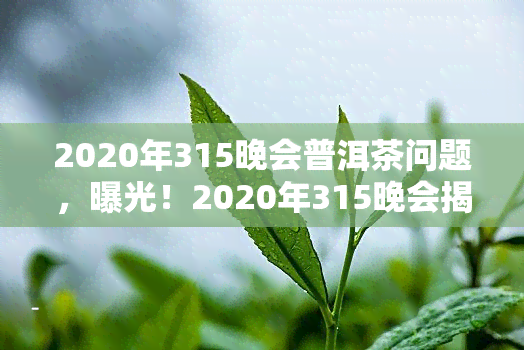 2020年315晚会普洱茶问题，曝光！2020年315晚会揭示普洱茶行业问题，消费者权益如何保障？