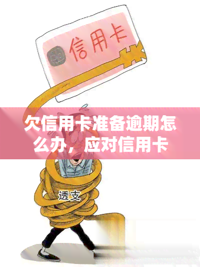 欠信用卡准备逾期怎么办，应对信用卡逾期：欠款处理策略与建议