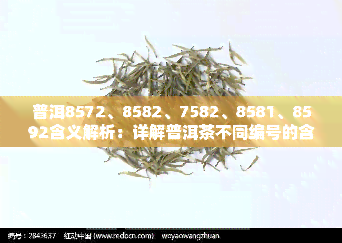 普洱8572、8582、7582、8581、8592含义解析：详解普洱茶不同编号的含义与区别