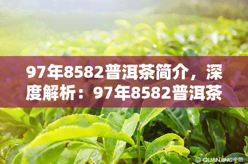 97年8582普洱茶简介，深度解析：97年8582普洱茶的产地、口感与收藏价值