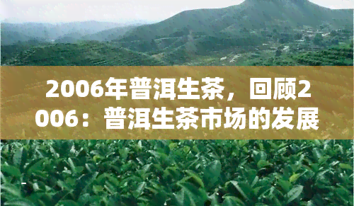 2006年普洱生茶，回顾2006：普洱生茶市场的发展与趋势