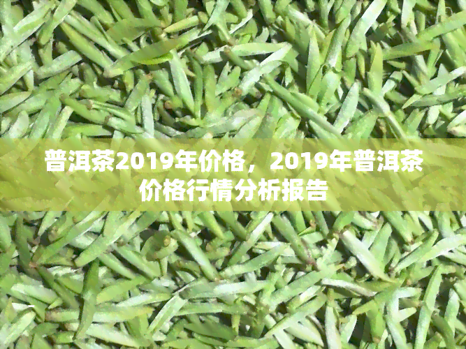 普洱茶2019年价格，2019年普洱茶价格行情分析报告