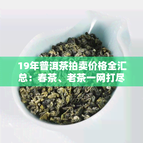 19年普洱茶拍卖价格全汇总：春茶、老茶一网打尽！