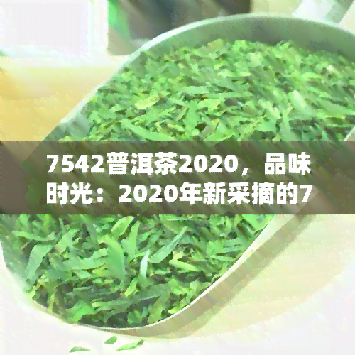 7542普洱茶2020，品味时光：2020年新采摘的7542普洱茶