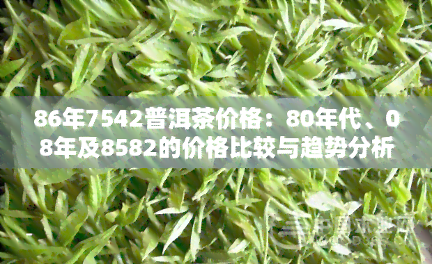 86年7542普洱茶价格：80年代、08年及8582的价格比较与趋势分析