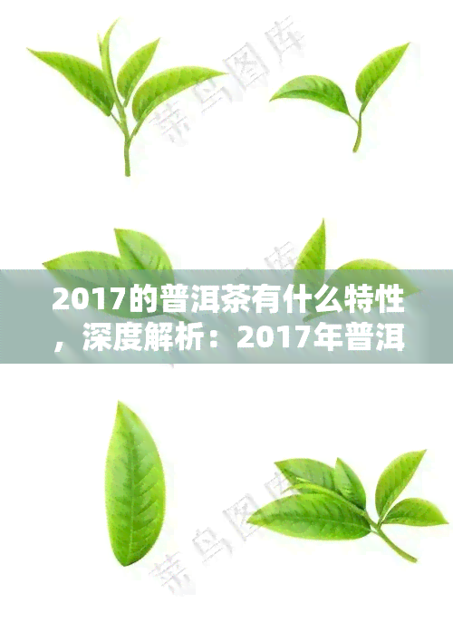 2017的普洱茶有什么特性，深度解析：2017年普洱茶的独特特性和品质特点