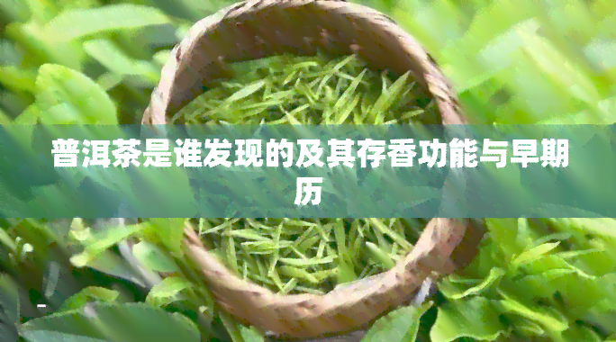 普洱茶是谁发现的及其存香功能与早期历