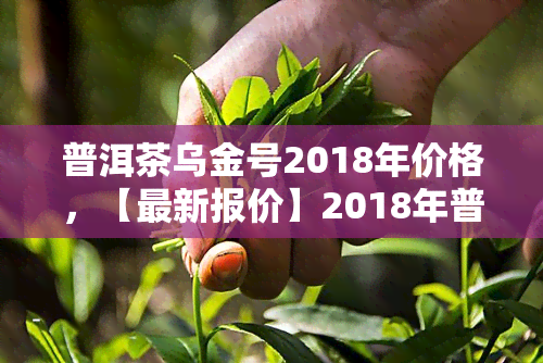 普洱茶乌金号2018年价格，【最新报价】2018年普洱茶乌金号价格表