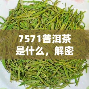 7571普洱茶是什么，解密7571普洱茶：一种独特的中国茶叶品种