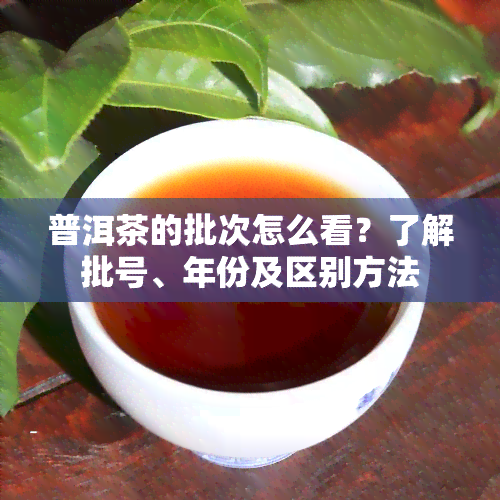 普洱茶的批次怎么看？了解批号、年份及区别方法