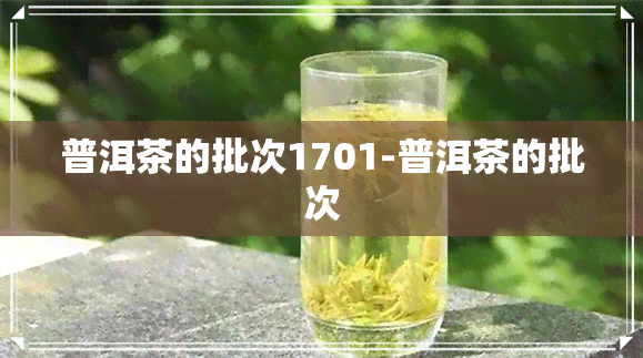 普洱茶的批次1701-普洱茶的批次