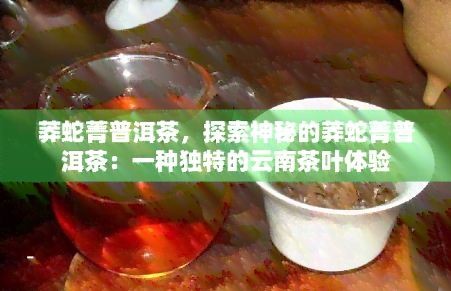 莽蛇菁普洱茶，探索神秘的莽蛇菁普洱茶：一种独特的云南茶叶体验