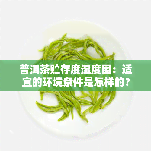 普洱茶贮存度湿度围：适宜的环境条件是怎样的？