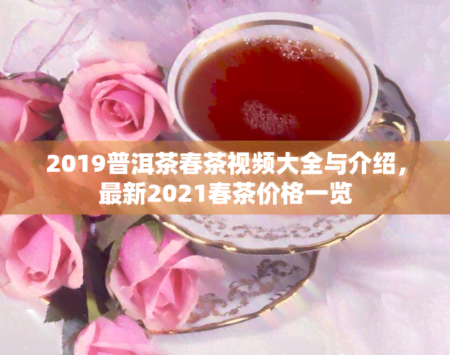 2019普洱茶春茶视频大全与介绍，最新2021春茶价格一览