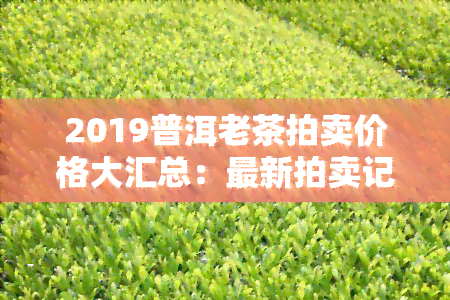 2019普洱老茶拍卖价格大汇总：最新拍卖记录、行情及更高价格一览