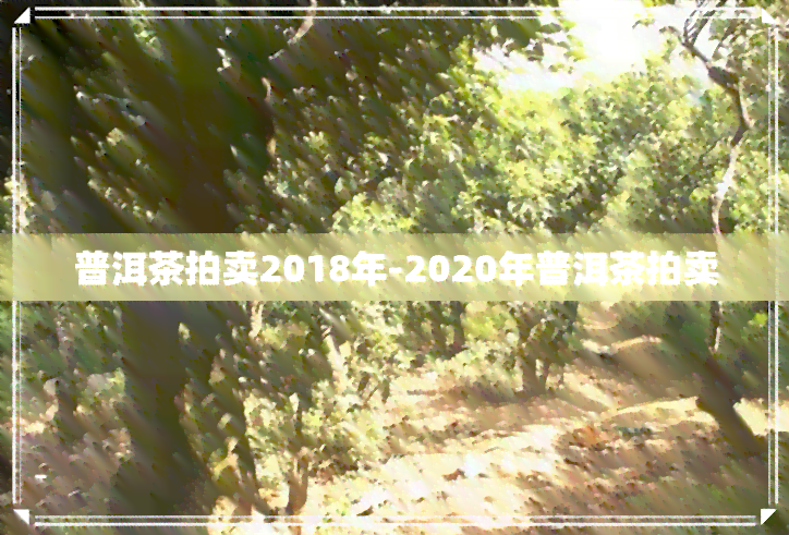 普洱茶拍卖2018年-2020年普洱茶拍卖