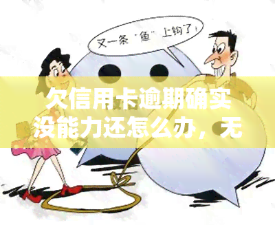 欠信用卡逾期确实没能力还怎么办，无能为力？信用卡逾期了该怎么办？