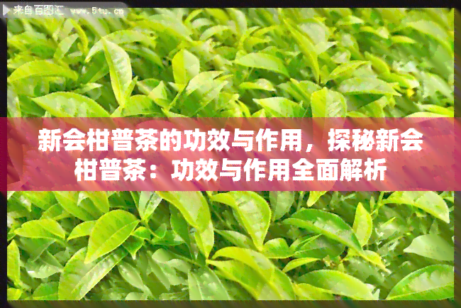 新会柑普茶的功效与作用，探秘新会柑普茶：功效与作用全面解析