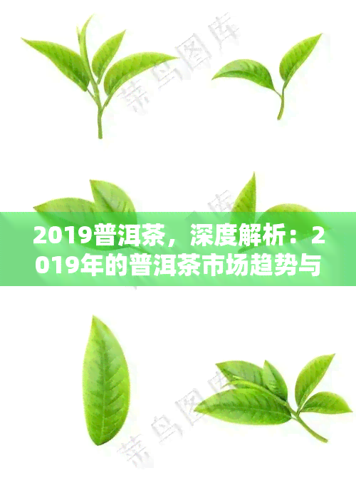 2019普洱茶，深度解析：2019年的普洱茶市场趋势与品质特点