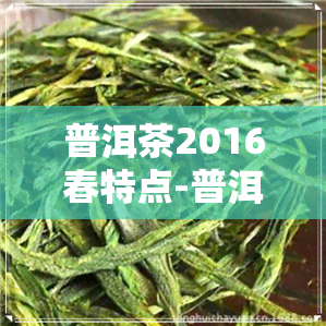 普洱茶2016春特点-普洱茶2016年